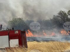 Община Бургас поиска помощ от военните за овладяване на пожара край Българово