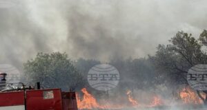 Община Бургас поиска помощ от военните за овладяване на пожара край Българово