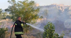 Пожар е възникнал в землището на Угърчин