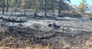 Пожарът край Балчик е овладян в по-голямата си част, на места има огнища