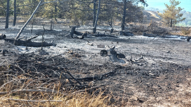 Пожарът край Балчик е овладян в по-голямата си част, на места има огнища