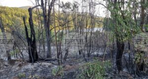 Потушен е пожарът в местността Стублата край Враца