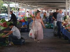 Турция регистрира значително увеличение на количеството използвани пестициди в земеделието през последните години