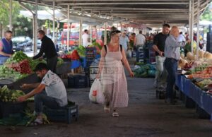 Турция регистрира значително увеличение на количеството използвани пестициди в земеделието през последните години