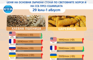Цените на зърнените стоки по световните борси продължават да са колебливи в края на юли, отчитат от ССБ