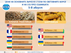 Цените на основните зърнени стоки не отбелязаха особени промени на световните борсови пазари през седмицата, по данни на ССБ