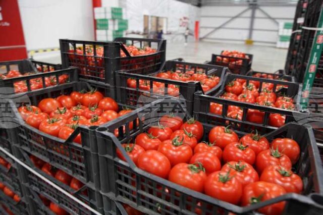 АТА: Албания отчита 9,1% ръст на износа на селскостопанска продукция през първите осем месеца на 2025 г.