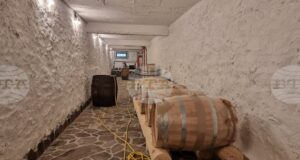 Бутиковата изба Vino`s в Смолян разширява производството си, въпреки че регионът не е традиционно лозарски