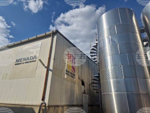 Деветият благотворителен гроздобер на Menada Winery & Vineyards отново събра средства за добри каузи в Стара Загора