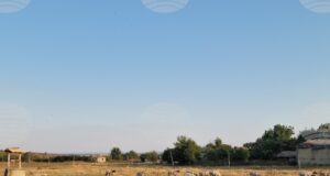 Областната епизоотична комисия в Пазарджик заседава извънредно след констатирано огнище на шарка по овцете в селата Овчеполци и Динката