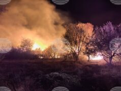Овладян е пожарът, възникнал селата Старосел и Паничери, изгорели са над 600 дка изоставени лозя