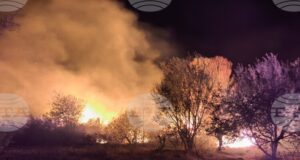 Овладян е пожарът, възникнал селата Старосел и Паничери, изгорели са над 600 дка изоставени лозя
