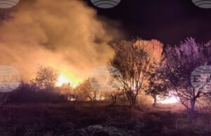 Овладян е пожарът, възникнал селата Старосел и Паничери, изгорели са над 600 дка изоставени лозя