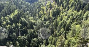 Планински спасители са помогнали на двама туристи в Рила вчера, съобщиха от Планинската спасителна служба