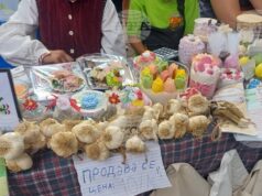 С беседа, кулинарен конкурс, изложба-базар и фолклорна програма премина празникът „Чудото на чесъна – храна и лекарство“ в Садина