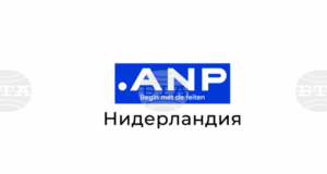 АНП: Делът на избирателите в Нидерландия на възраст над 65 години е по-голям от всякога