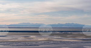 Белият дом дава зелена светлина за петролни сондажи в природен резерват в Аляска