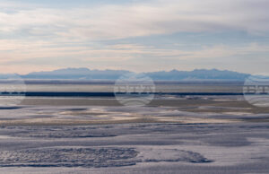 Белият дом дава зелена светлина за петролни сондажи в природен резерват в Аляска