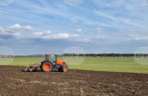 В Ямболско отчитат по-високи средни добиви при слънчогледа, рапицата и житните култури