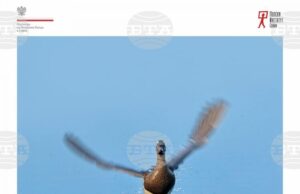 Вицепрезидентът Илияна Йотова ще участва в откриването на изложбата „Време за излитане“ на посланика на Полша в България Мачей Шимански