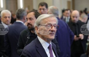 Влизането в еврозоната не е само въпрос на икономика, следващият етап на интеграция ще е обща отбрана, каза за БТА бившият австрийски канцлер Волфганг Шусел