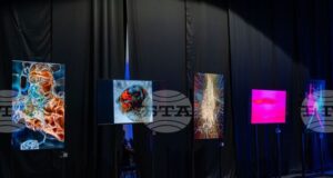 Групова изложба, посветена на връзката между съвременното изкуство и блокчейн културата, се проведе в София