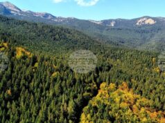 Добри са условията за туризъм в планините, от ПСС призовават туристите да тръгват със заредени телефони Добри са условията за туризъм в планините, от ПСС призовават туристите да тръгват със заредени телефони