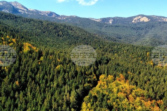 Добри са условията за туризъм в планините, от ПСС призовават Добри са условията за туризъм в планините, от ПСС призовават туристите да тръгват със заредени телефони