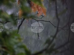Кметът на Созопол призова жителите на общината да останат по домовете си