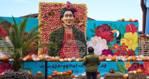 Над 100 000 тикви в различни форми и цветове са показани на фестивал край Берлин