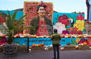 Над 100 000 тикви в различни форми и цветове са показани на фестивал край Берлин