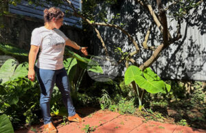 Отдавна изгубен древноримски артефакт бе открит в задния двор на къща в Ню Орлиънс
