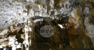 Повече от 5700 туристи са посетили пещера "Добростански бисер" край Асеновград, а приходите от дейността нарастват до 41 035 лв.
