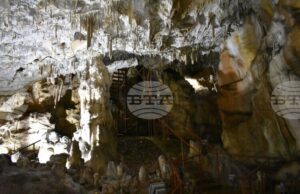 Повече от 5700 туристи са посетили пещера "Добростански бисер" край Асеновград, а приходите от дейността нарастват до 41 035 лв.