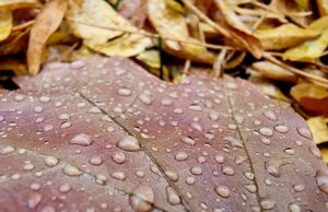 есен, дъжд превалявания