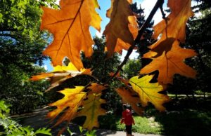 Есен, слънчево време