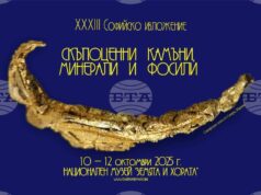 Софийското изложение на минерали, скъпоценни камъни и фосили започва на 10 октомври