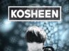 Тази вечер е концертът на Kosheen в София