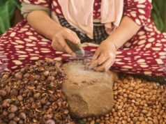 Аргановото масло от Мароко – между традиция и индустриализация Аргановото масло от Мароко – между традиция и индустриализация