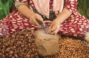 Аргановото масло от Мароко – между традиция и индустриализация