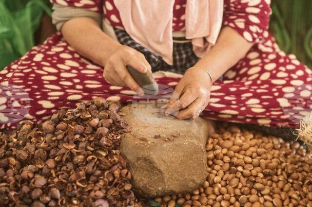 Аргановото масло от Мароко – между традиция и индустриализация Аргановото масло от Мароко – между традиция и индустриализация