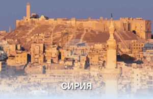 Армията на САЩ обяви, че петима бойци от "Ислямска държава" са ликвидирани, а 19 – заловени, по време на операции в Сирия Армията на САЩ обяви, че петима бойци от "Ислямска държава" са ликвидирани, а 19 - заловени, по време на операции в Сирия