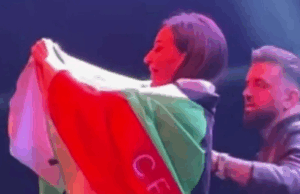 Балкански страсти и едно знаме: Защо концертът на Цеца във Велес се превърна в политическа драма Цеца Величкович