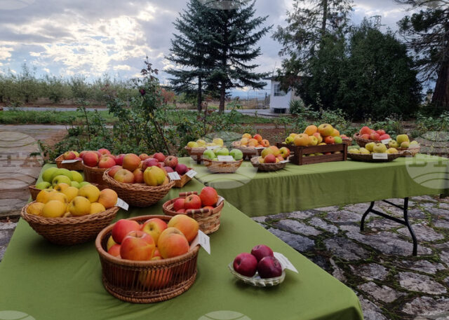 Браншовата камара "Плодове и зеленчуци" настоява за яснота и предвидимост в държавния бюджет за сектор "Земеделие"