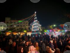 В Севлиево включиха празничното осветление на града и елхата, бе открит и коледен базар