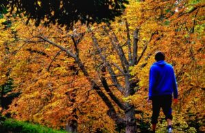 Времето ще се задържи топло, очаква ни слънчев уикенд есен