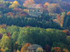 Във високите части на планините е облачно и мъгливо, съобщиха от Планинската спасителна служба на БЧК Във високите части на планините е облачно и мъгливо, съобщиха от Планинската спасителна служба на БЧК