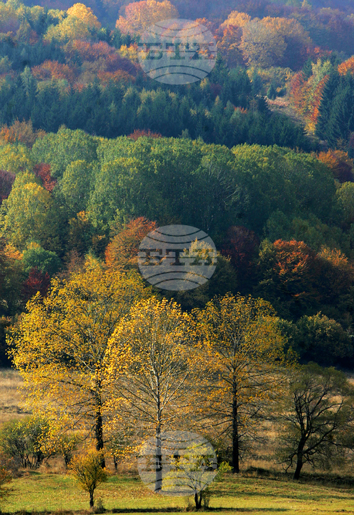Във високите части на планините е облачно и мъгливо, съобщиха Във високите части на планините е облачно и мъгливо, съобщиха от Планинската спасителна служба на БЧК