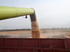 Глобалните стокови пазари останаха сравнително спокойни през изминалата седмица, отчитат експертите на Софийската стокова борса Световните пазари на пшеница и царевица остават под натиск от изобилни доставки и очаквани реколти, сочи анализ на ССБ