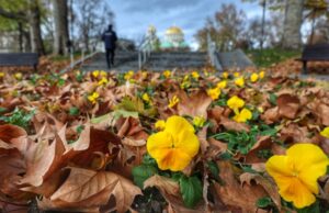 Днес ще е предимно слънчево с временни увеличения на облачността есен